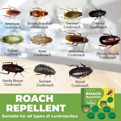 Household Pest Control